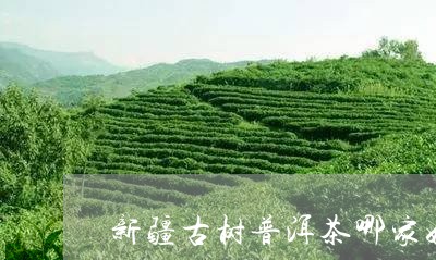 新疆古树普洱茶哪家好/2023121647379