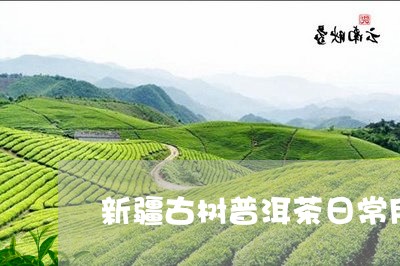 新疆古树普洱茶日常用法/2023110656379