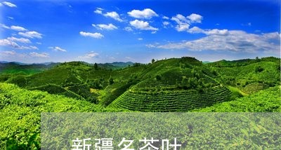 新疆名茶叶/2023041792021