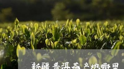 新疆普洱茶产地哪里/2023112807151