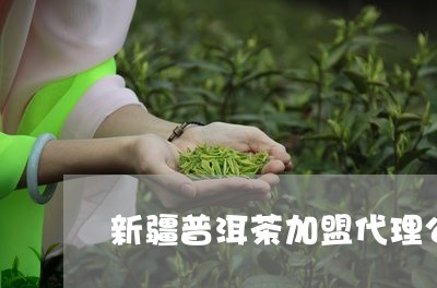 新疆普洱茶加盟代理公司/2023110139405