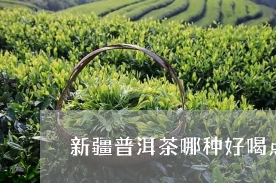 新疆普洱茶哪种好喝点的/2023082909793