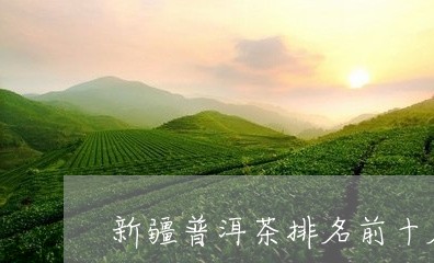 新疆普洱茶排名前十名是哪些/2023052959470