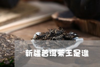 新疆普洱茶王是谁/2023110315839