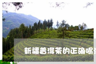 新疆普洱茶的正确喝法/2023092881715