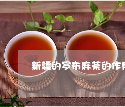 新疆的罗布麻茶的作用/2023071540895