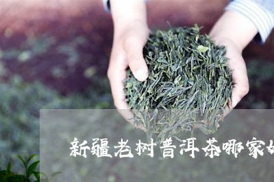 新疆老树普洱茶哪家好/2023121662915