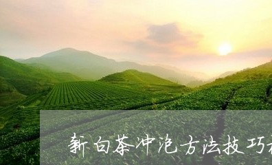 新白茶冲泡方法技巧视频/2023102676046