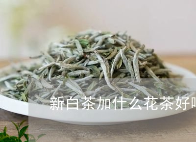 新白茶加什么花茶好喝点/2023102693139