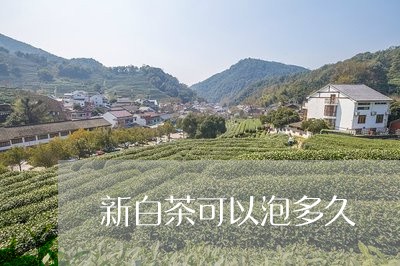 新白茶可以泡多久/2023062125039