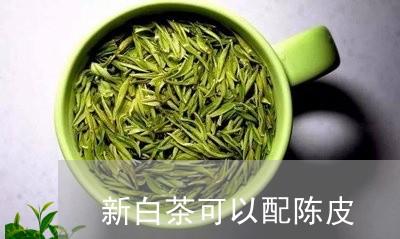 新白茶可以配陈皮/2023062171594