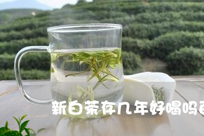 新白茶存几年好喝吗百度/2023102633028