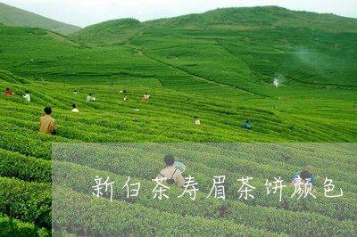 新白茶寿眉茶饼颜色/2023120483038