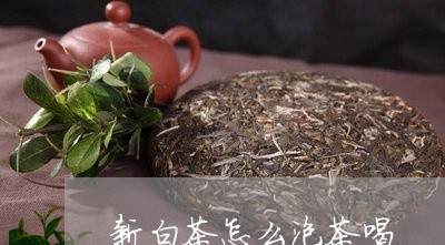 新白茶怎么泡茶喝/2023062171162