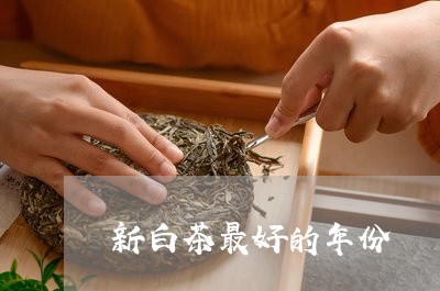 新白茶最好的年份/2023062102824