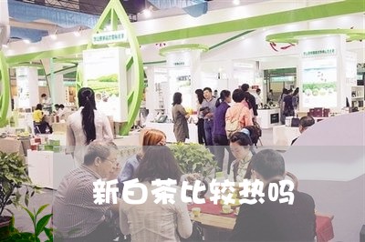 新白茶比较热吗/2023070179714