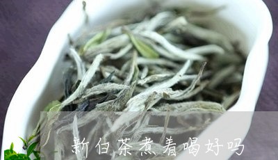 新白茶煮着喝好吗/2023062166358