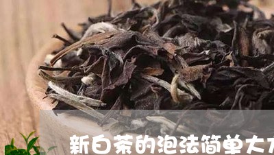 新白茶的泡法简单大方/2023100155048