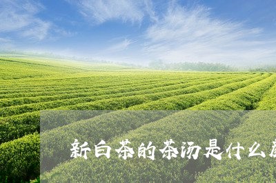 新白茶的茶汤是什么颜色/2023102627248