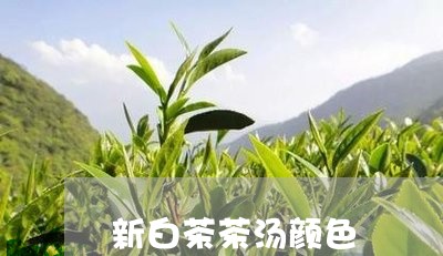 新白茶茶汤颜色/2023060181503