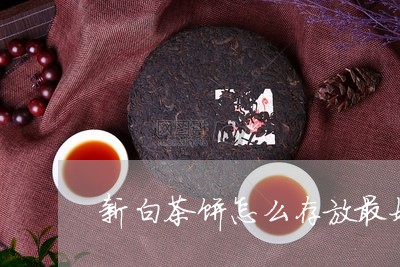 新白茶饼怎么存放最好/2023100184836