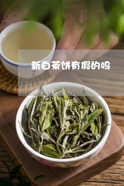 新白茶饼有假的吗/2023062130724