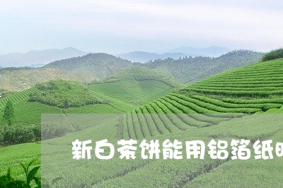 新白茶饼能用铝箔纸时/2023100186249