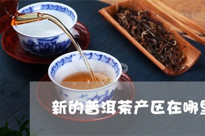 新的普洱茶产区在哪里呀/2023082741503