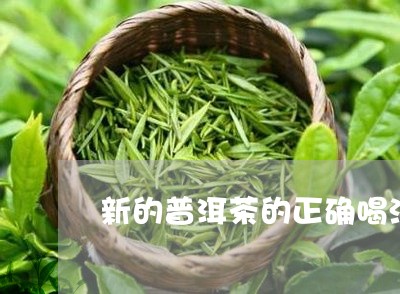 新的普洱茶的正确喝法/2023092841724