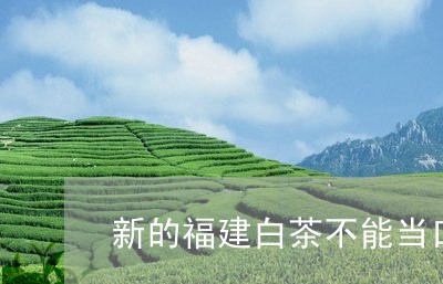 新的福建白茶不能当口粮茶/2023082505939