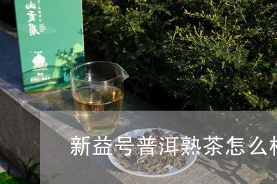 新益号普洱熟茶怎么样/2023061338571