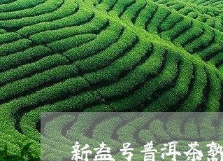 新益号普洱茶熟茶价格/2023062355959