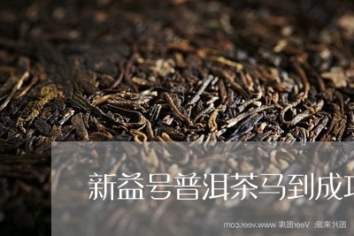 新益号普洱茶马到成功/2023061447583