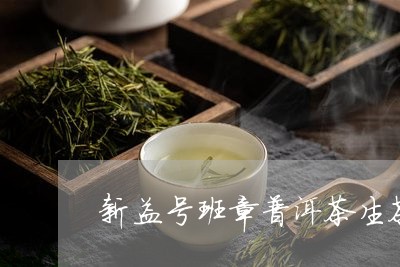 新益号班章普洱茶生茶200克/2023102538471