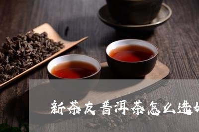 新茶友普洱茶怎么选好的/2023112881595