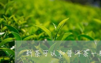 新茶可以和普洱茶一样泡吗/2023121658383