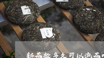 新茶放多久可以泡茶喝/2023060806061