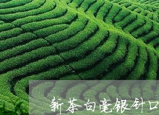 新茶白毫银针口/2023112496272