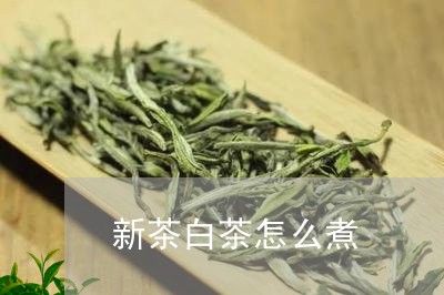 新茶白茶怎么煮/2023060184157