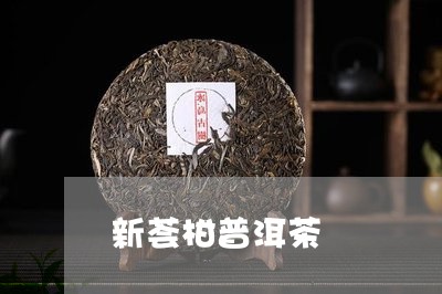 新荟柑普洱茶/2023042517491