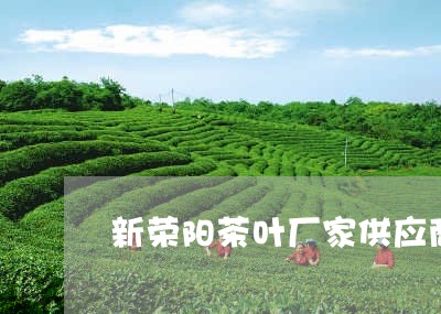 新荣阳茶叶厂家供应商/2023092328360