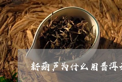 新葫芦为什么用普洱茶煮/2023121610392