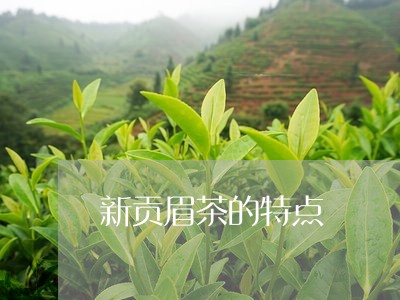 新贡眉茶的特点/2023112551604