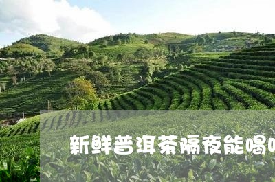 新鲜普洱茶隔夜能喝吗/2023093059647