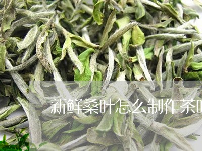 新鲜桑叶怎么制作茶叶/2023092391616