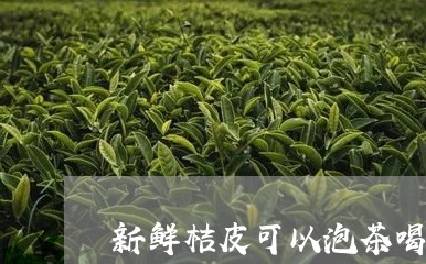 新鲜桔皮可以泡茶喝吗/2023060845162