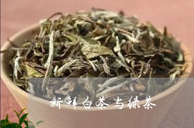 新鲜白茶与绿茶/2023060172828