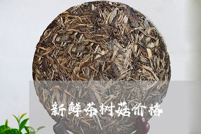 新鲜茶树菇价格/2023050177135