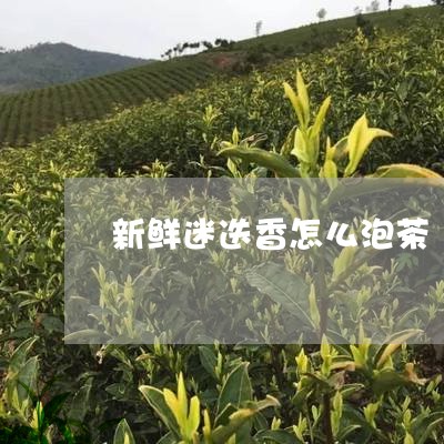 新鲜迷迭香怎么泡茶/2023042248371