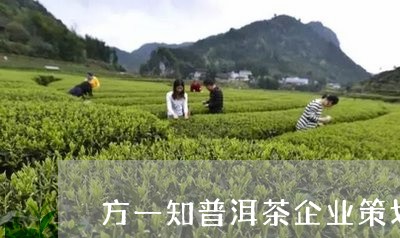 方一知普洱茶企业策划/2023092923925